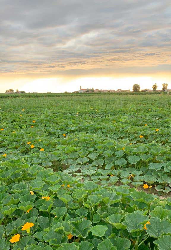 fattoria-sociale-mission