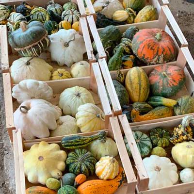 gallery-fattoria-sociale03