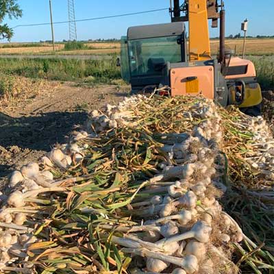 gallery-fattoria-sociale04