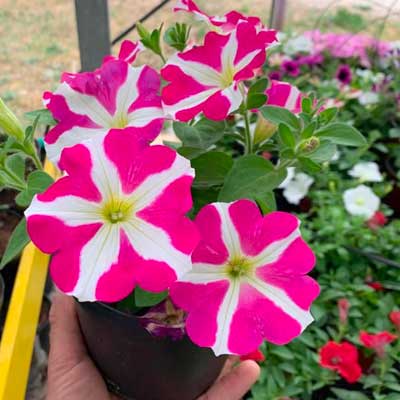 gallery-fattoria-sociale08