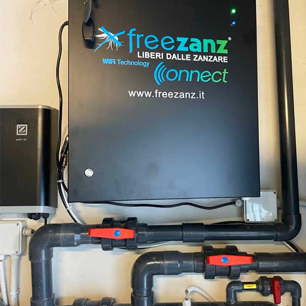 freezanz02